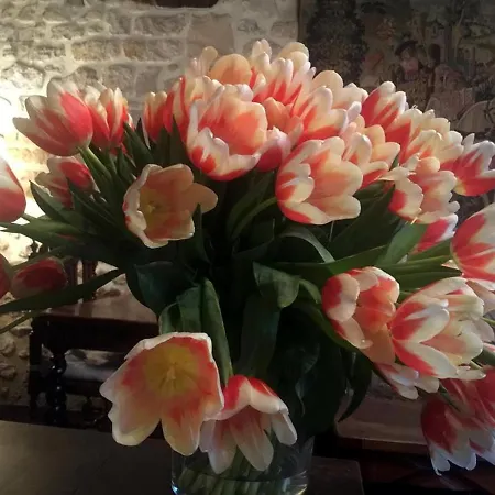 Boutique De La Place Des Vosges 3*