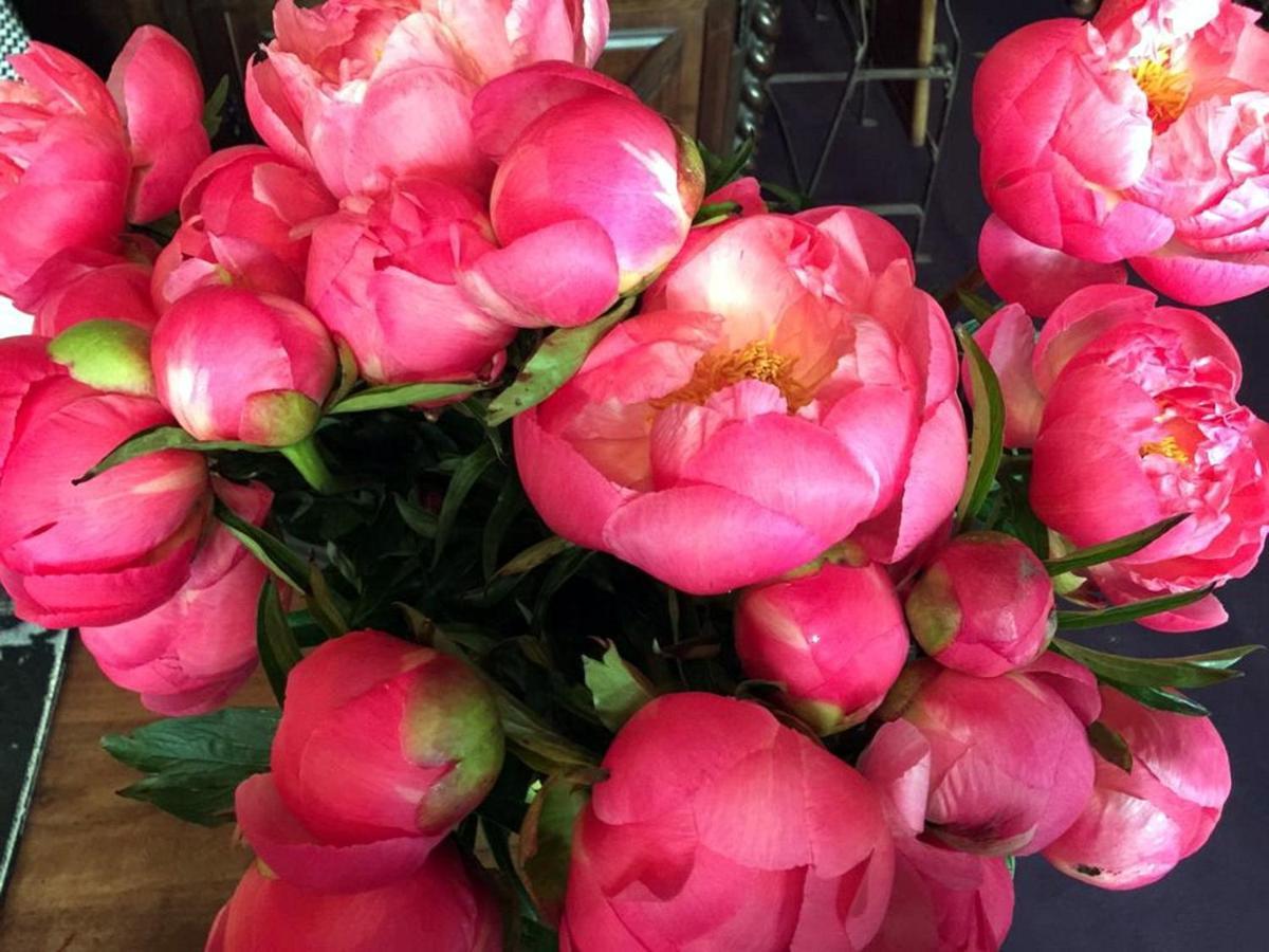 Hotel Boutique De La Place Des Vosges 3*