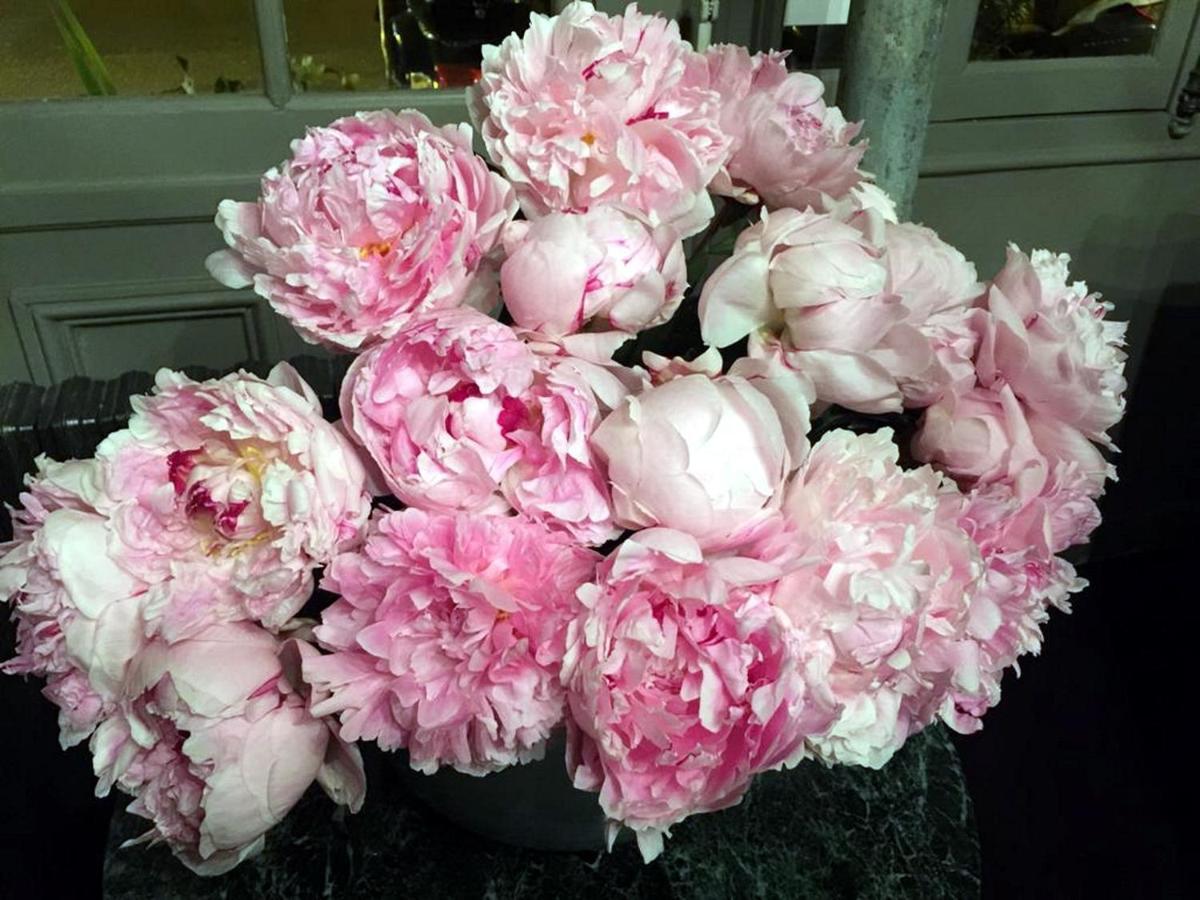 Hotel Boutique De La Place Des Vosges 3*