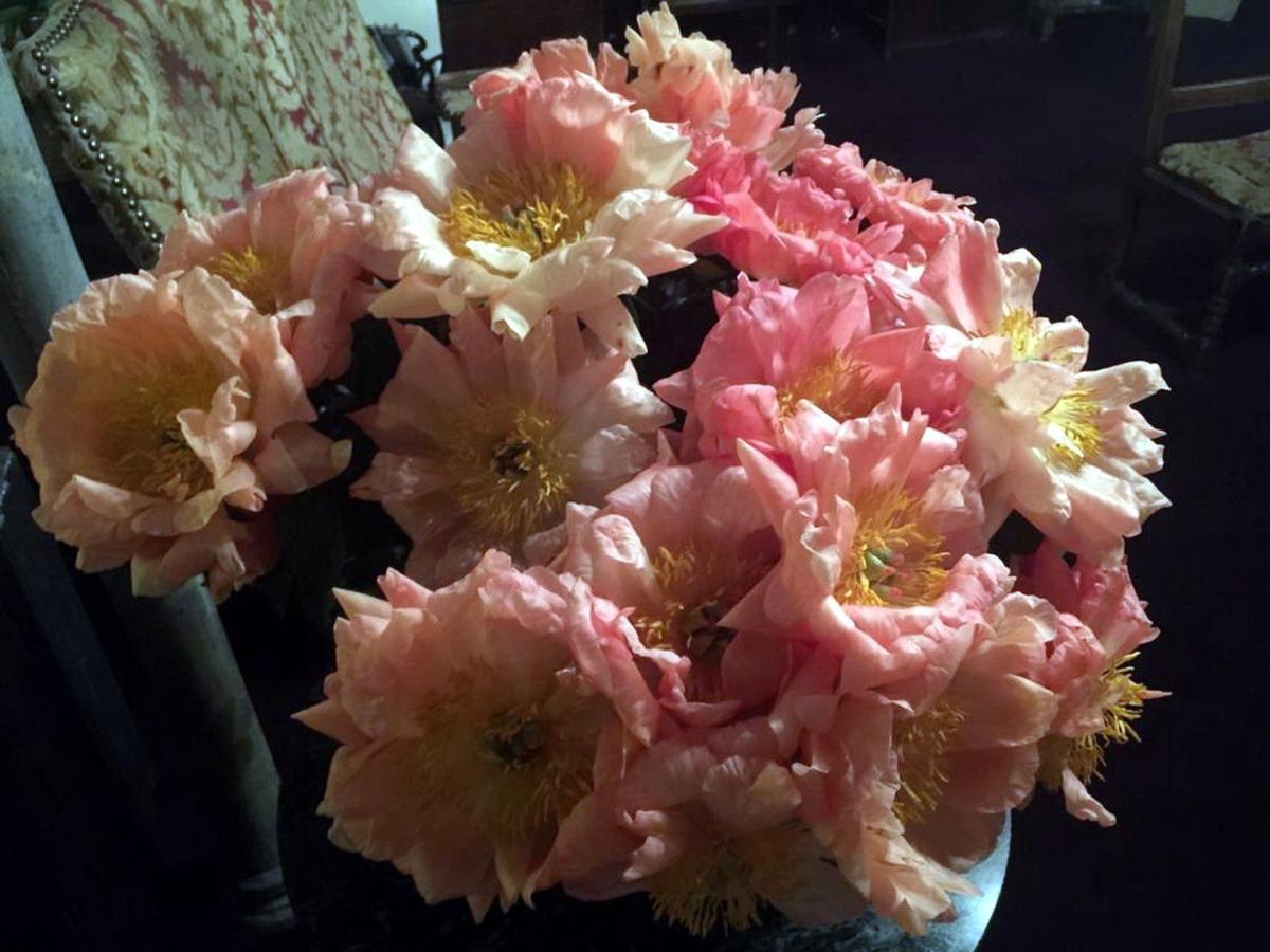 Boutique De La Place Des Vosges Hotel 3*